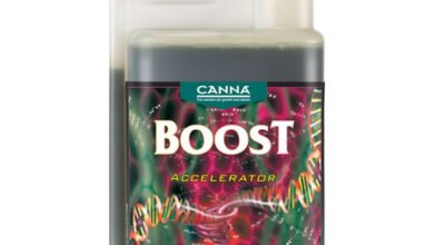 Canna Boost Accelerator