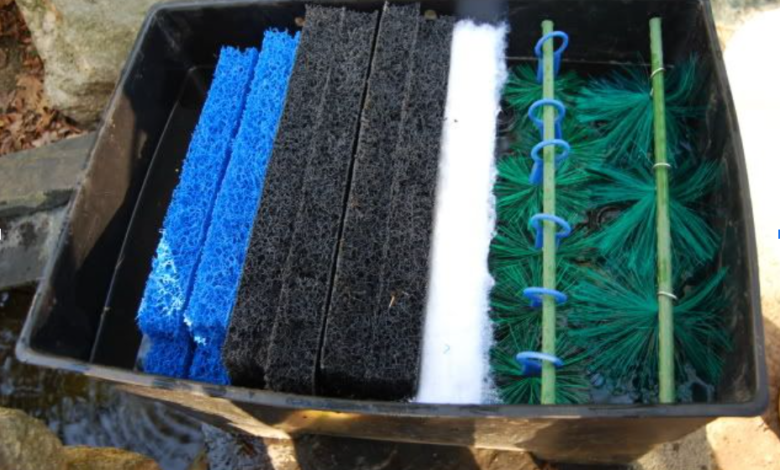Pond Drum Filters: The Ultimate Solution for Clear, Healthy Water