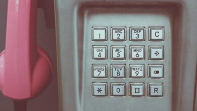 verify phone numbers now