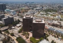 business expansion identifier numbers