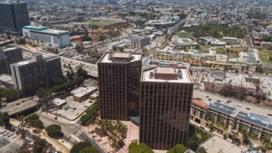 business expansion identifier numbers