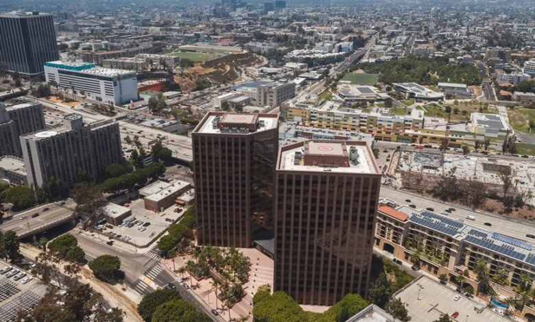 business expansion identifier numbers