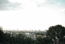 bold expansion secures market advantage