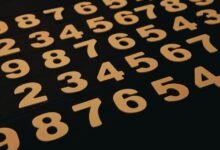 phone number with details