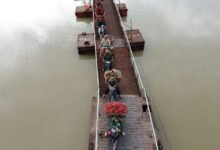 quantum bridge market flow identifiers