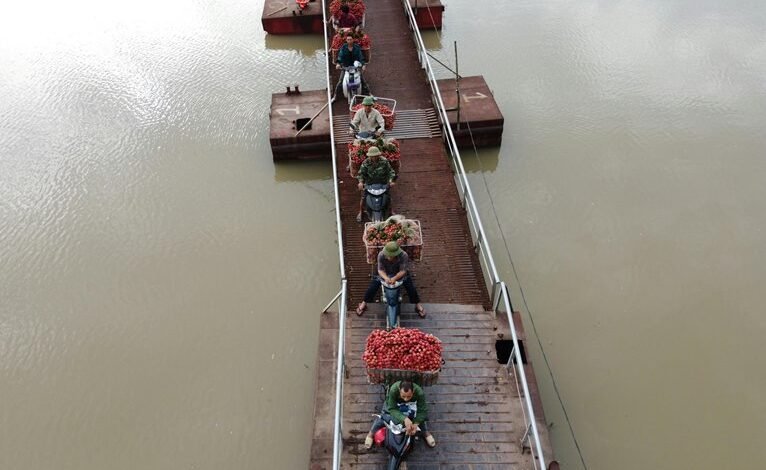 quantum bridge market flow identifiers