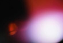 radiant matrix fusion identifier