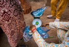 rapid builder market scaling trend